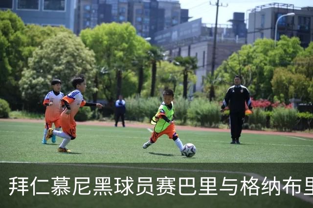拜仁慕尼黑球员赛巴里与格纳布里受重伤，奥利塞情况相对乐观