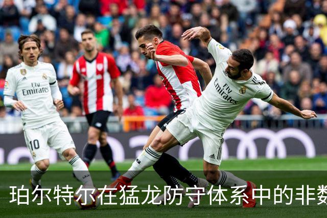 珀尔特尔在猛龙防守体系中的非数据化贡献分析